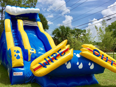 Inflatable Slides Inflatable Slides